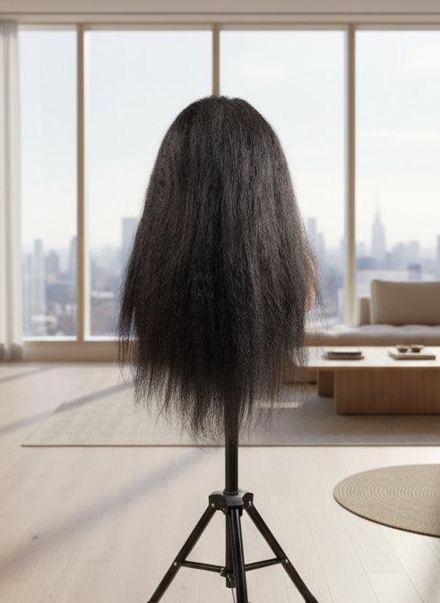 Kinky Straight Lace Front Wig